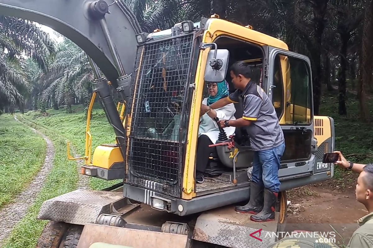 501 pohon dirobohkan untuk bangun huntap korban bencana di Bogor