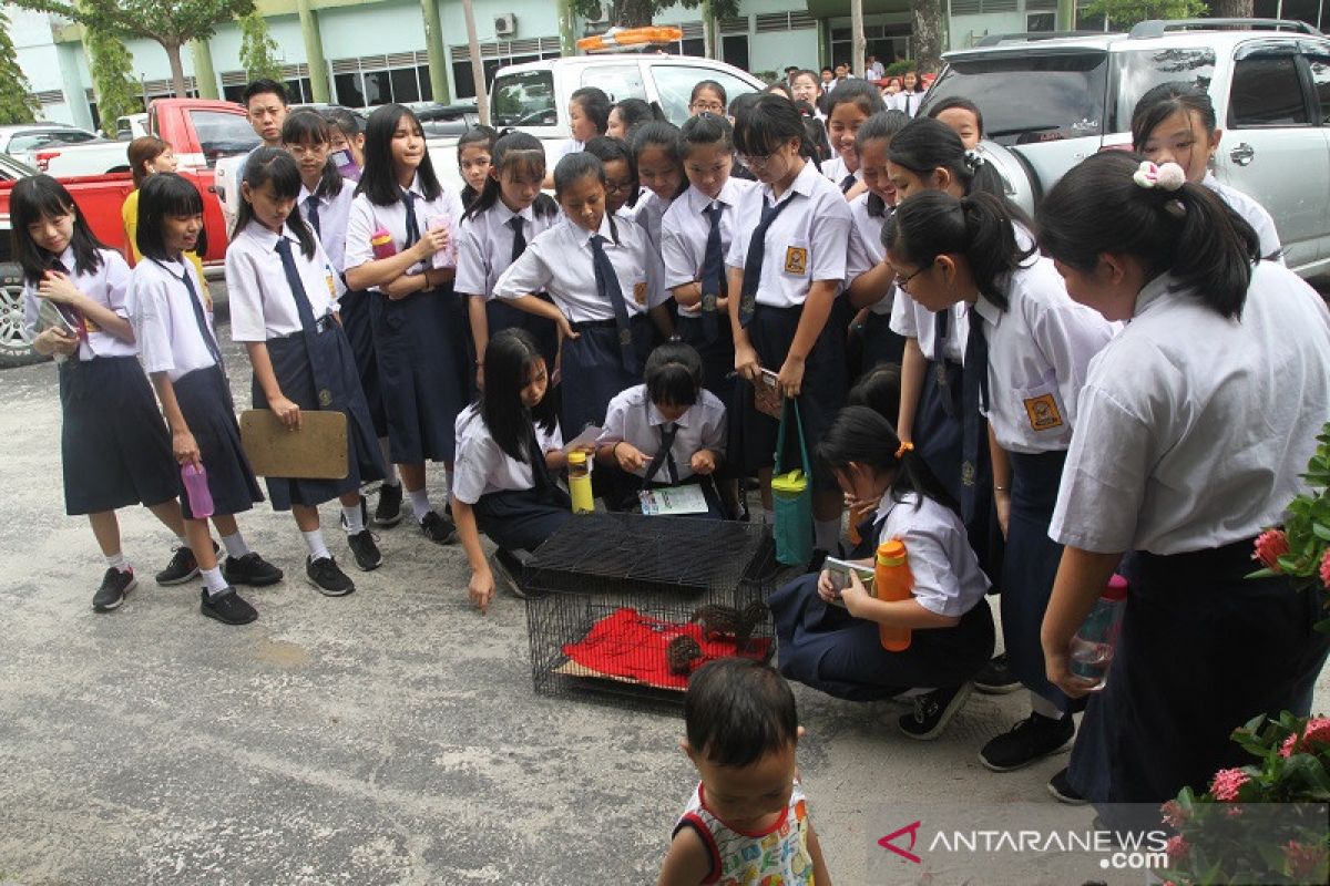 BBKSDA Riau buka diri untuk edukasi siswa tentang konservasi satwa