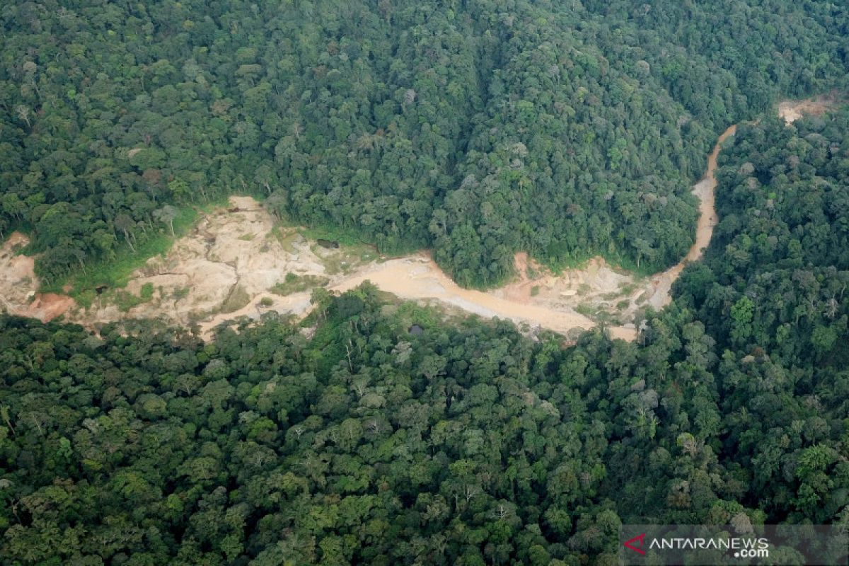 Meski diizinkan Pemprov, Bupati secara tegas tolak tambang emas di kawasan hutan lindung