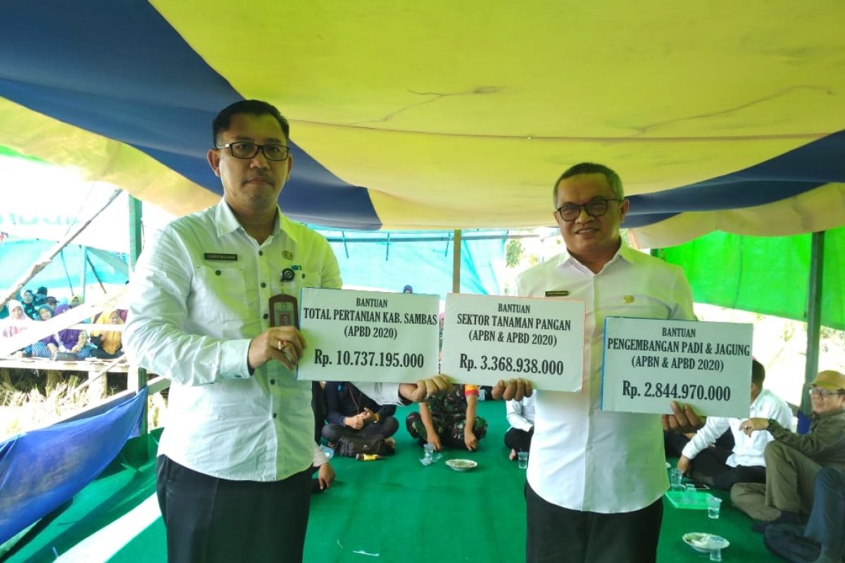 Sambas dapat bantuan benih padi hibrida seluas 2.700 hektare