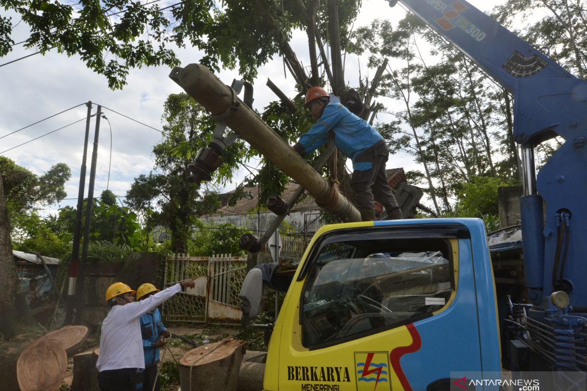 PLN tebang 72.262 pohon dekat jaringan transmisi