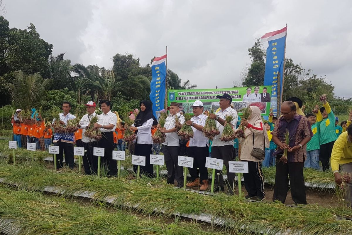 Pupuk MA11 mampu menekan biaya produksi petani Bangka Tengah