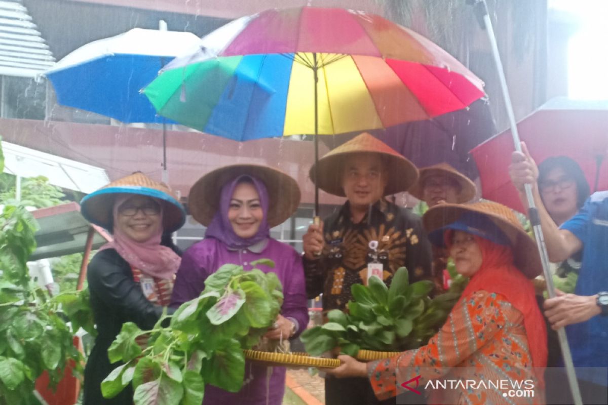 Ada lahan hijau di Kantor Wali Kota Jakarta Pusat bernama Jakpus Fam