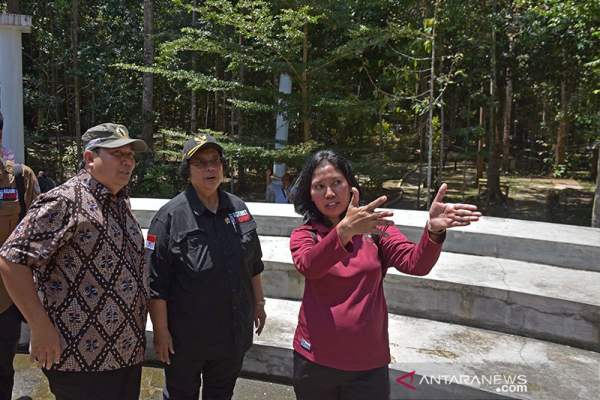 Presiden Jokowi serahkan 73.670 ha SK Perhutanan Sosial di Riau