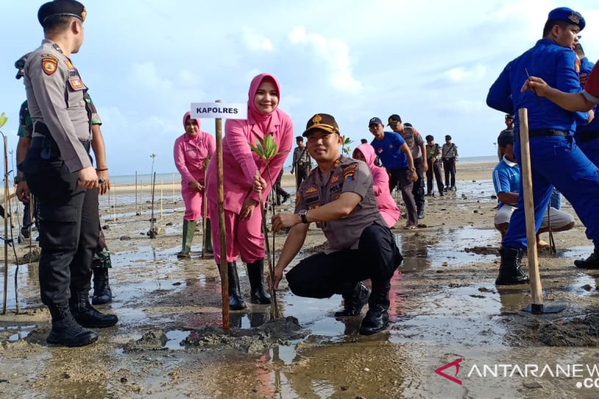 Polres Bangka Barat tanam 1.500 bibit mangrove