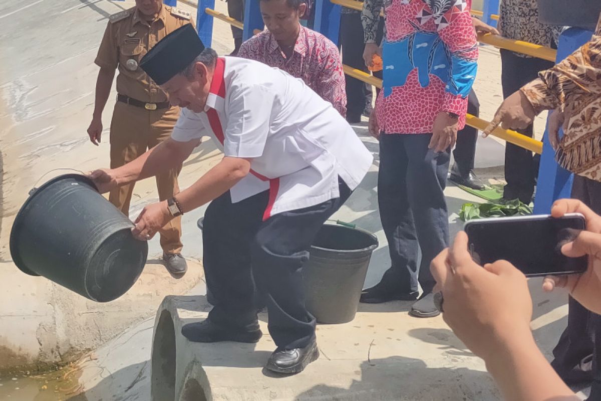 Tebar 30.000 benih ikan dan bagikan 1.000 pohon wali kota harapkan Unila lebih hijau