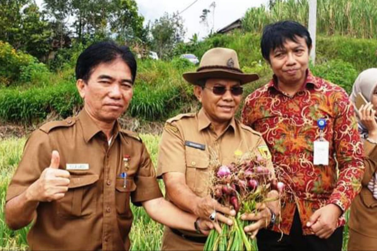 Petani Tanah Datar didorong tidak mengandalkan satu jenis tanaman