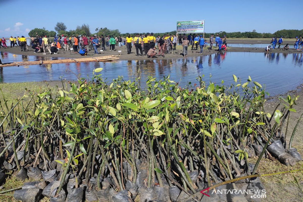 Polres Abdya tanam ribuan mangrove di kuala Lama Muda