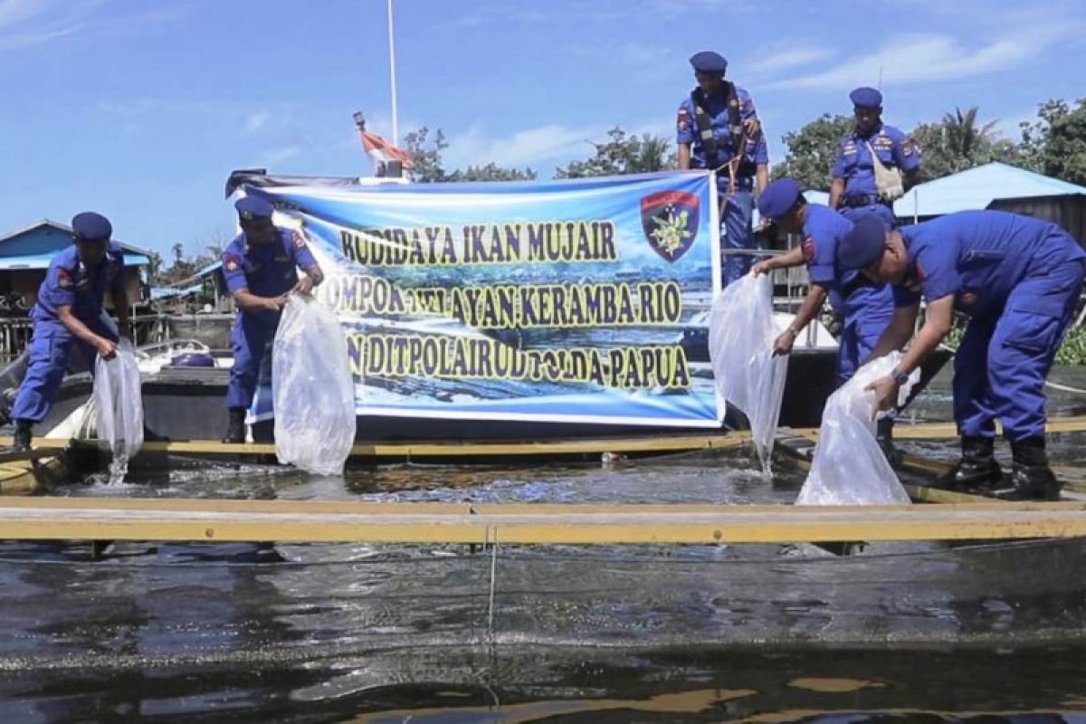 Polda Papua bantu 2.000 bibit ikan mujair untuk nelayan di Sentani