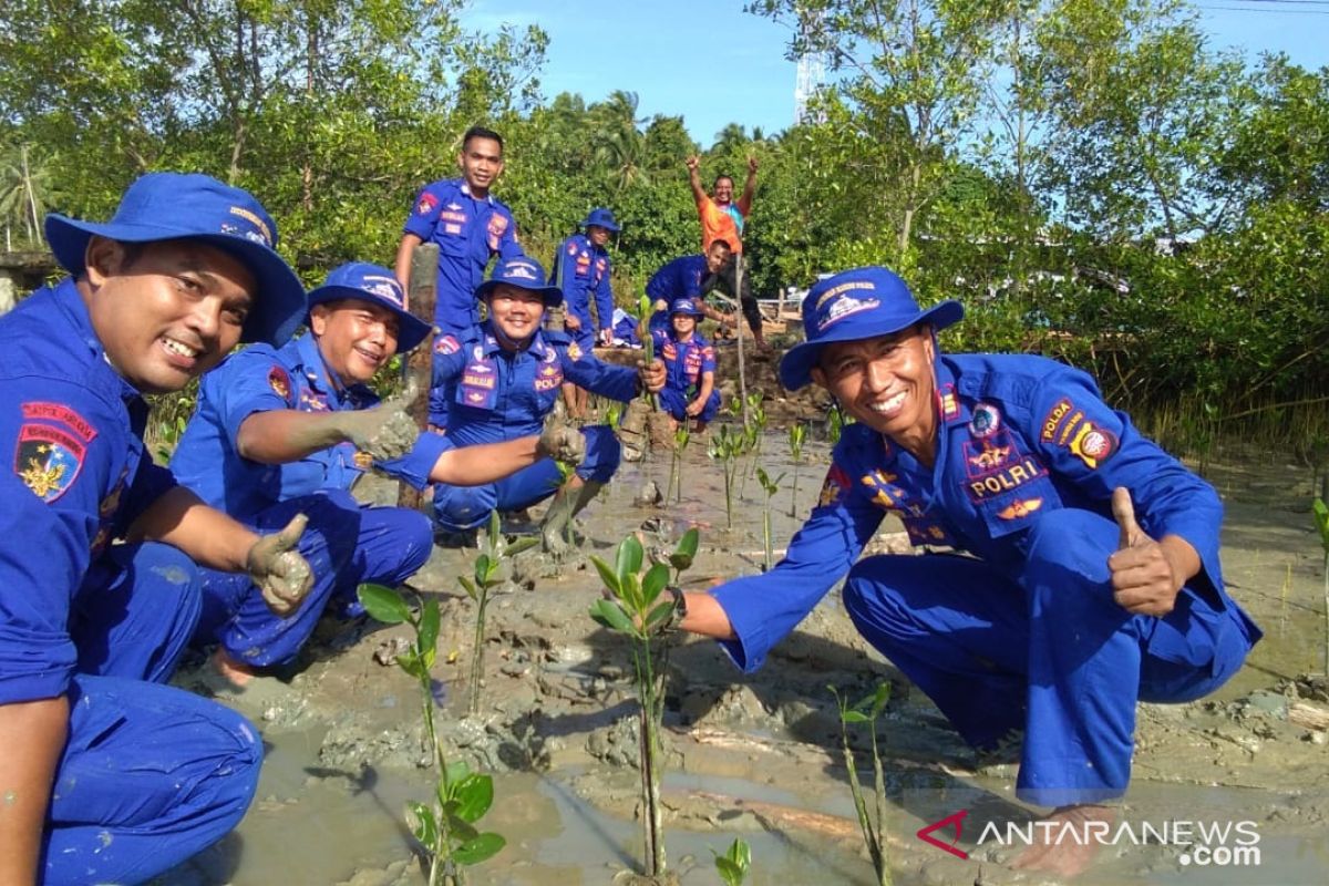 Polair Bengkayang tanam ratusan magrove di Teluk Suak