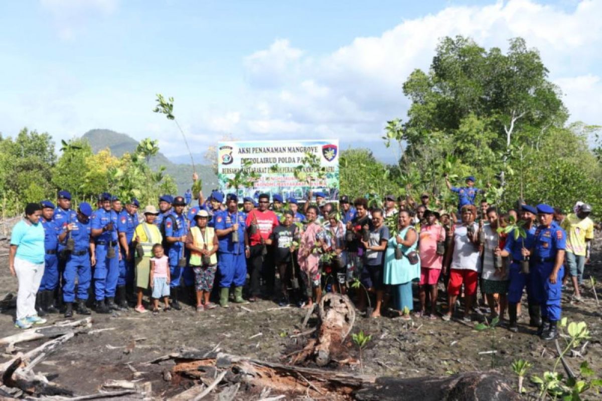 Polairud Polda Papua tanam 1.000 mangrove bersama warga di Kampung Nafri