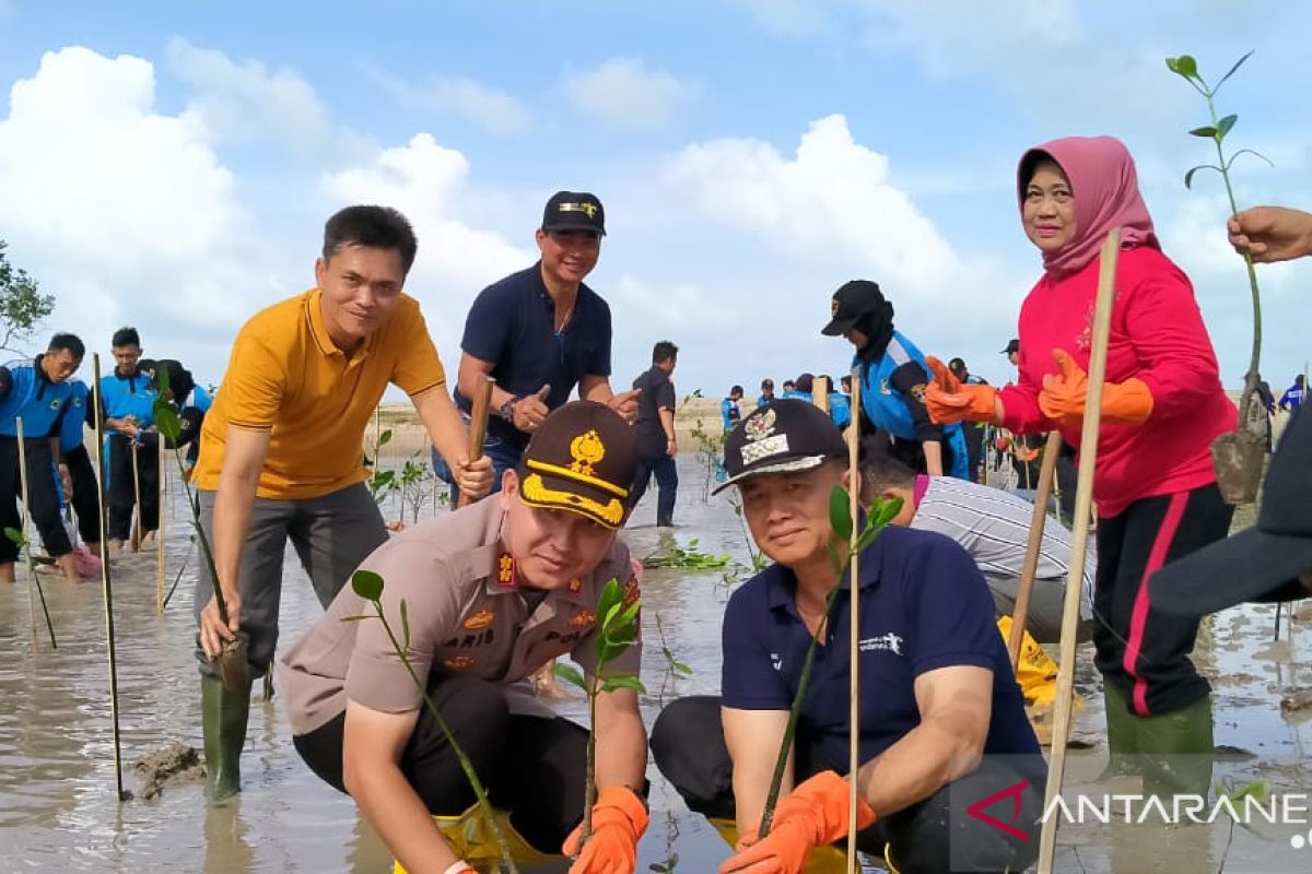 Polres Bangka tanam 1.500 bibit pohon mangrove