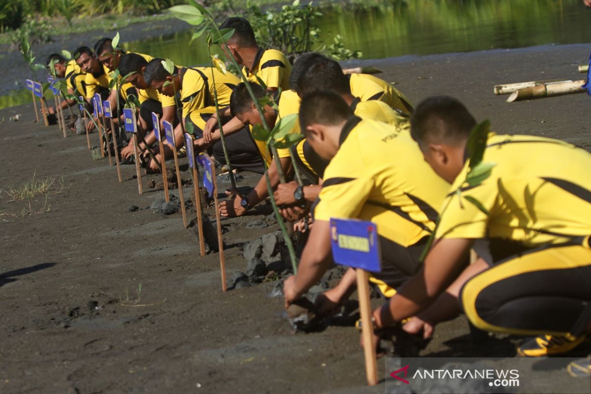 Penanaman manggrove serentak di Aceh Barat