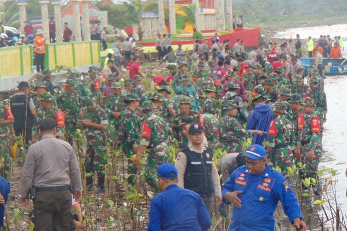 10.000 mangrove ditanam di Pantai Pungkruk Jepara