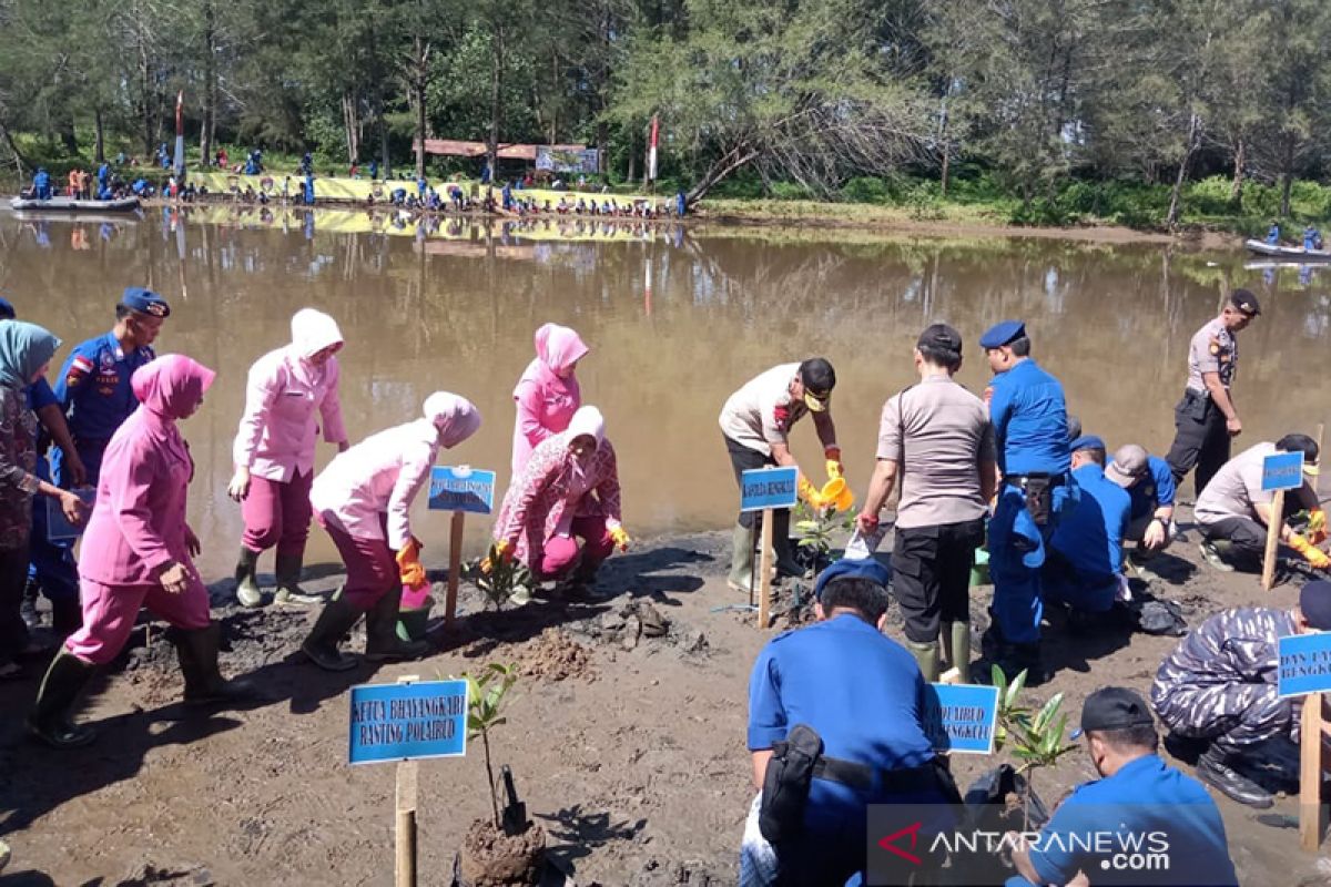 Jajaran Polda Bengkulu tanam seribu mangrove di Sungai Hitam