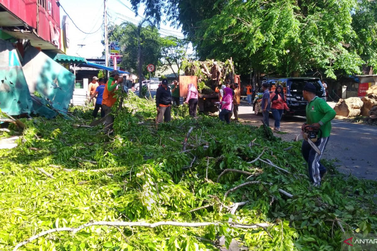 Waspadai angin kencang hingga 60 kilometer per jam hingga dua hari ke depan