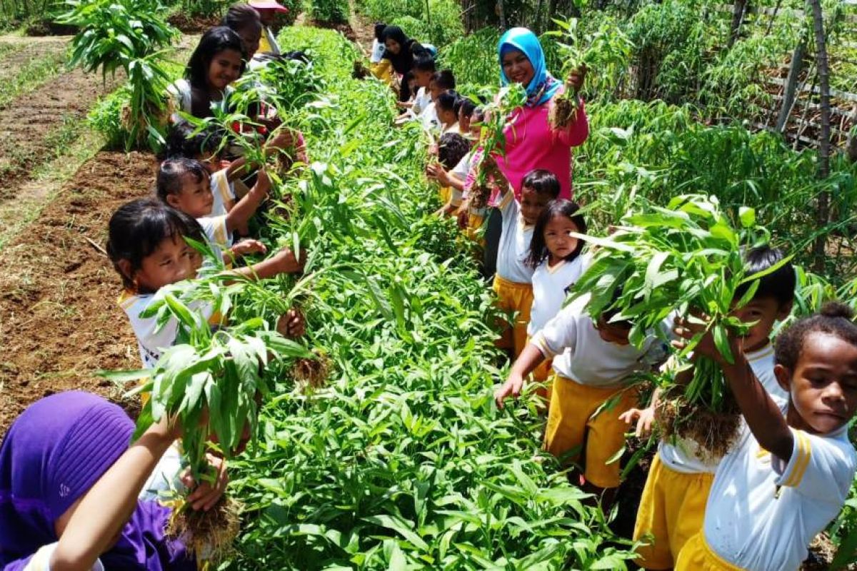 Siswa PAUD Kemala Bhayangkari  Boven Digoel dikenalkan menanam sayuran