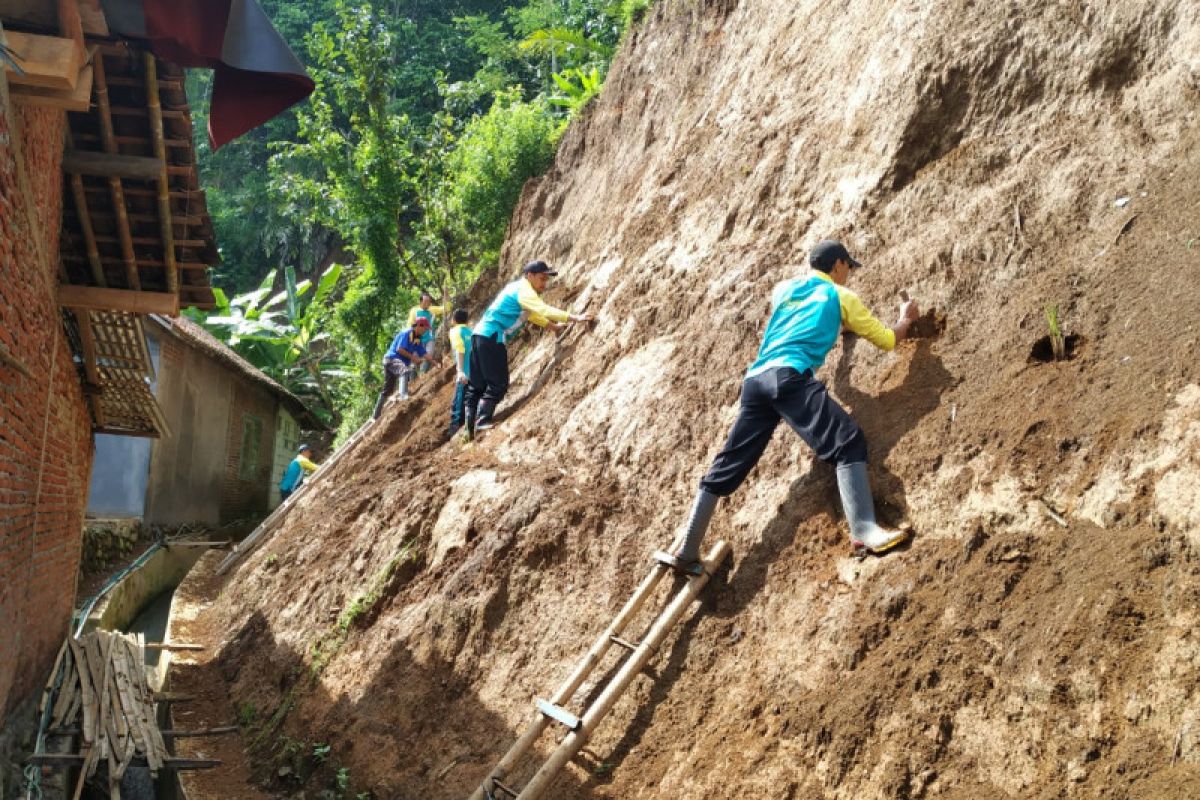 BPBD Banjarnegara tanam vetiver di lokasi rawan longsor