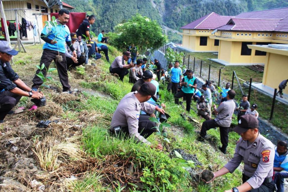 Kapolres Puncak Jaya Papua tanam bibit pohon kopi di lingkungan mapolres