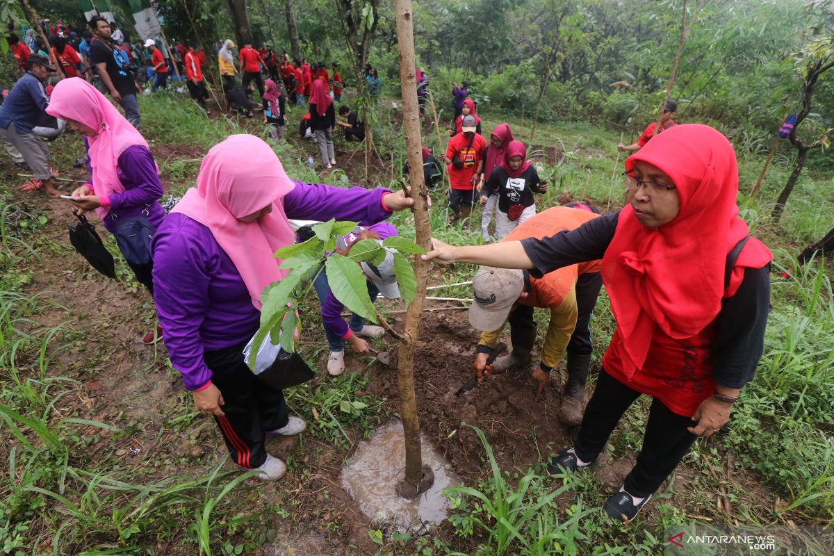 Reboisasi di gunung klotok