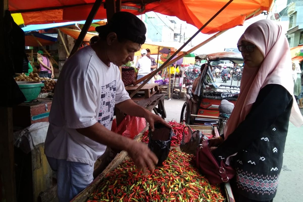 Harga cabai mulai turun di  Makassar