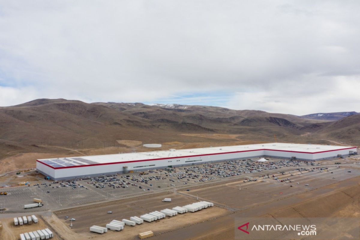 Tebang pohon demi Gigafactory, Tesla dihadang pencinta lingkungan