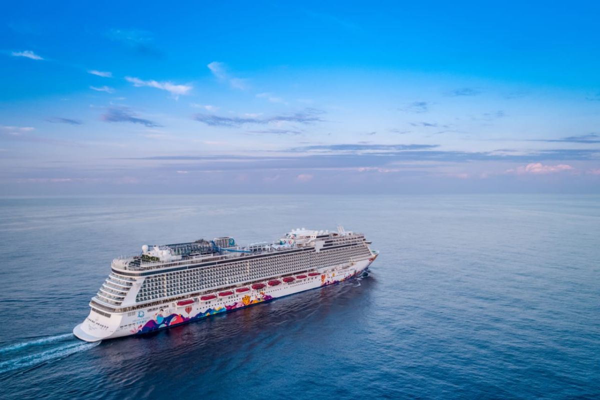 BNPB dukung pemulangan WNI dari kapal World Dream dan Diamond Princess