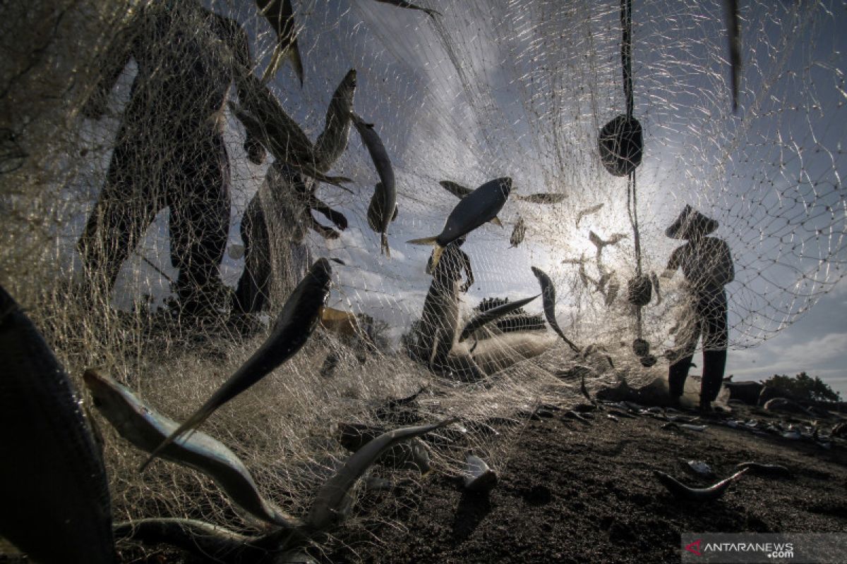 Indonesia nyatakan komitmen untuk pengelolaan laut berkelanjutan