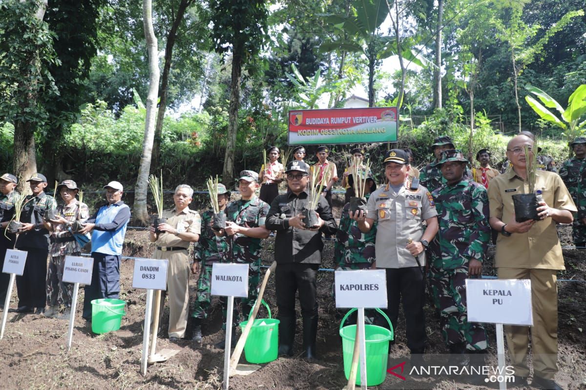 Malang gencarkan penanaman rumput vetiver untuk cegah longsor