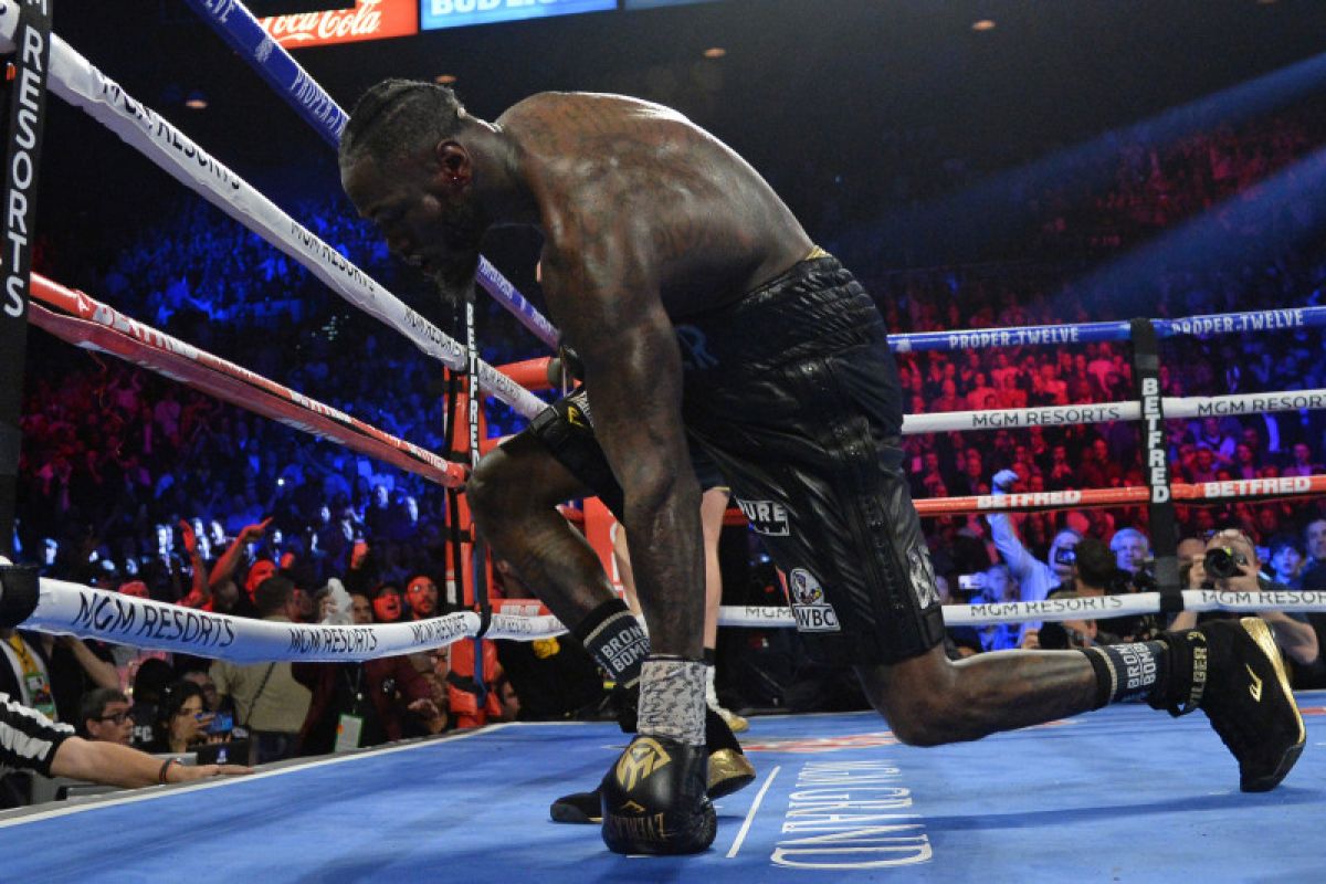 Wilder tantang Fury tarung ulang