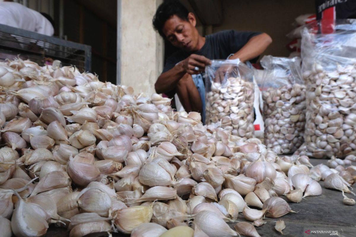 Asosiasi Hortikultura harapkan kompetisi sehat terkait pemberian RIPH