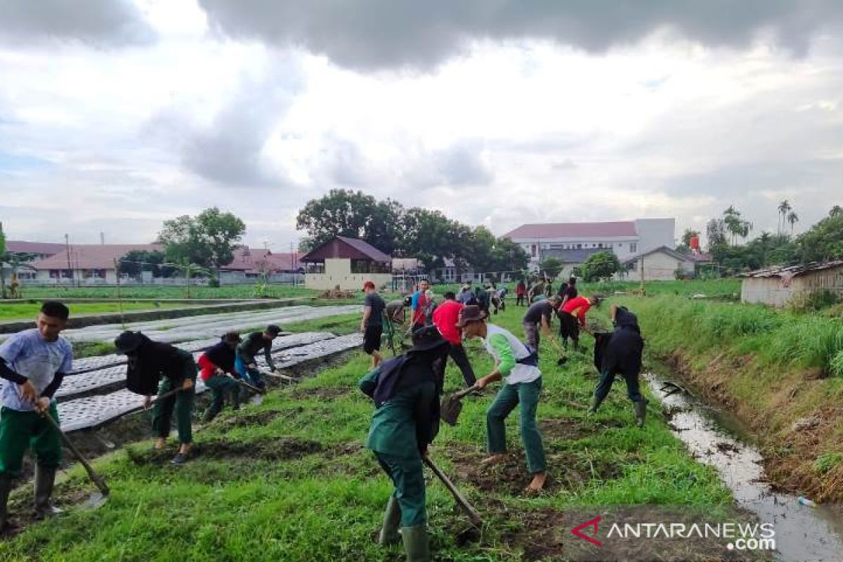 Mendampingi program utama Kementan, Polbangtan Medan siapkan mahasiswanya ke perbatasan Indonesia - Malaysia