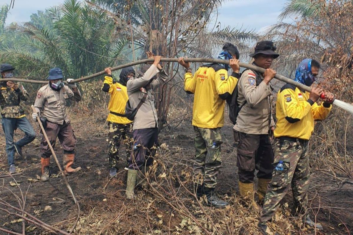 Wagubri : Karhutla intai lima juta hektare gambut Riau