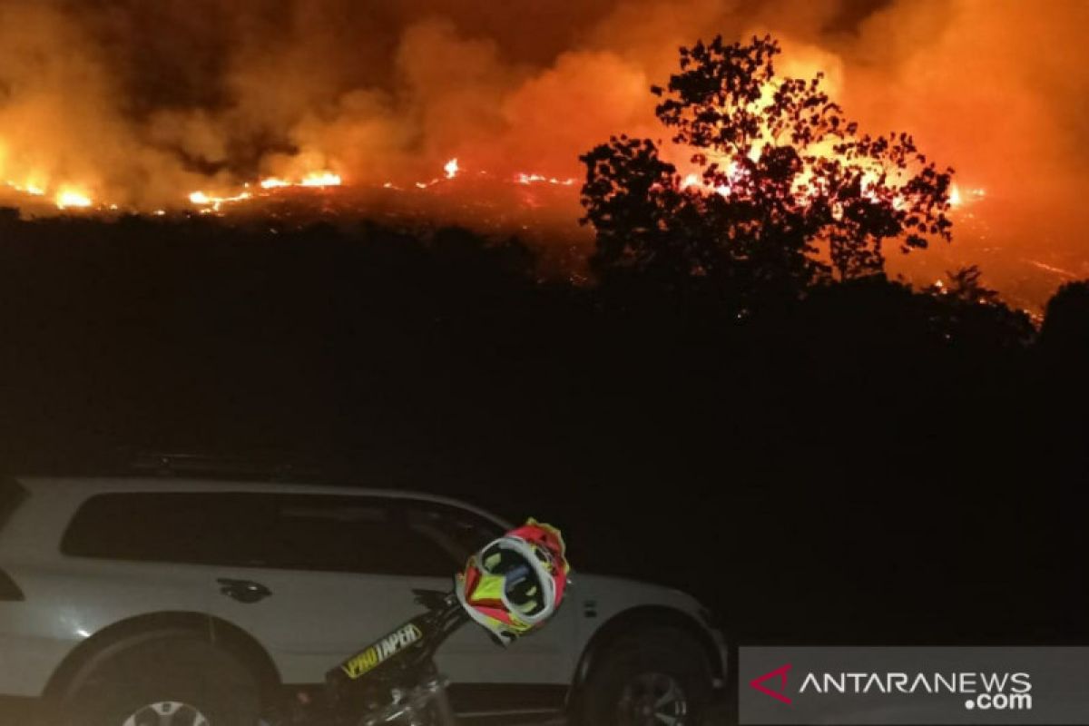 Kebakaran lahan 6 hektare di Salakan, Kabupaten Banggai Kepulauan