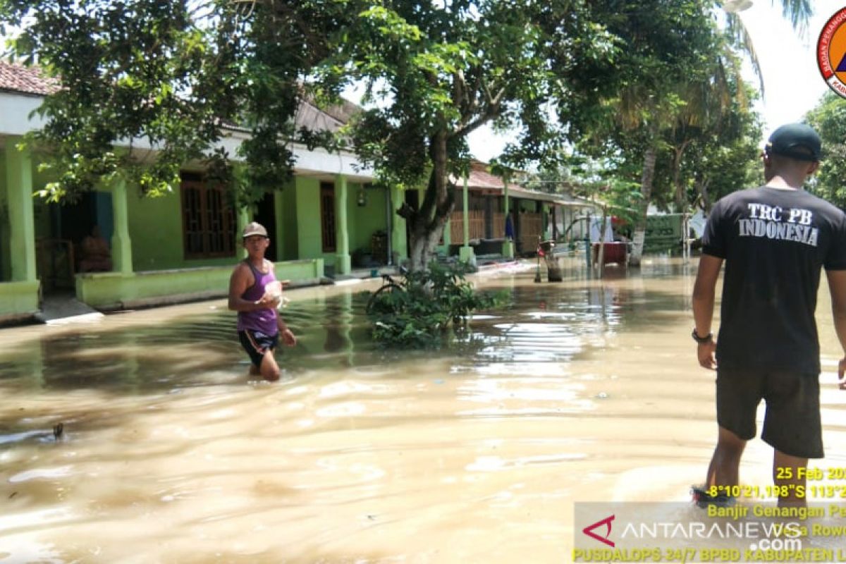 Ratusan KK terdampak banjir di Desa Rowokangkung Lumajang, sebut BPBD