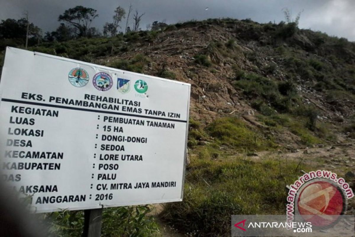 TNLL akan hijaukan eks areal tambang emas ilegal di Dongi-Dongi