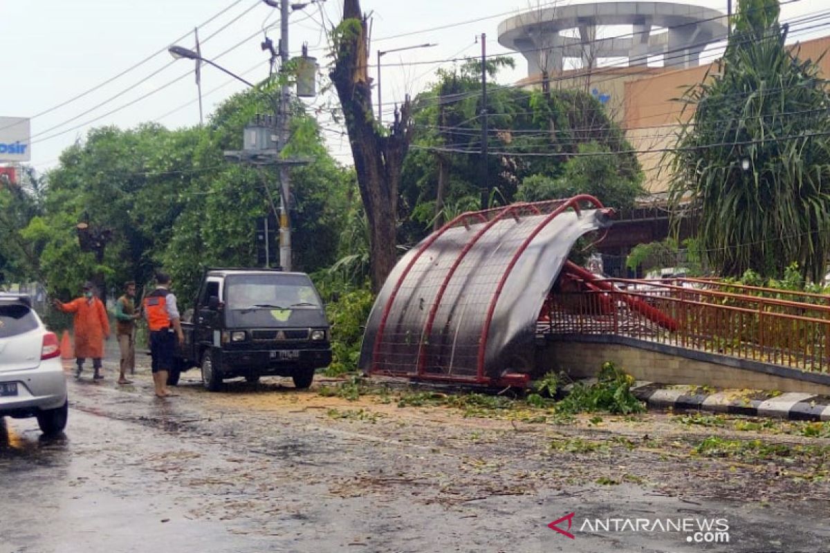 Pohon tumbang timpa halte  bus Batik Solo Trans