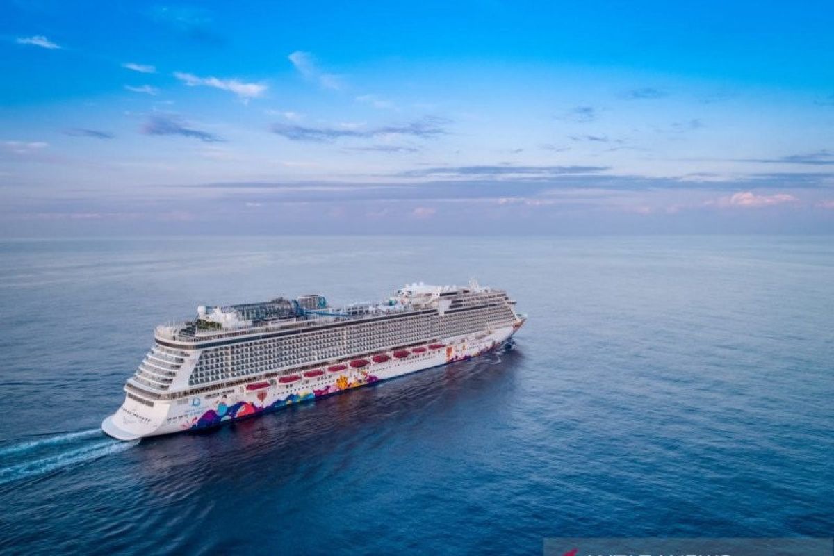 BNPB dukung opsi pemulangan WNI dari kapal World Dream dan Diamond Princess