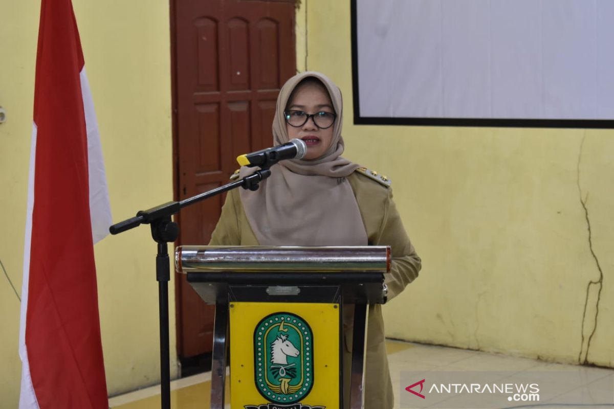 Awalnya ingin jadi dosen, Andi Kartini Ottong jadi Wakil Bupati Sinjai