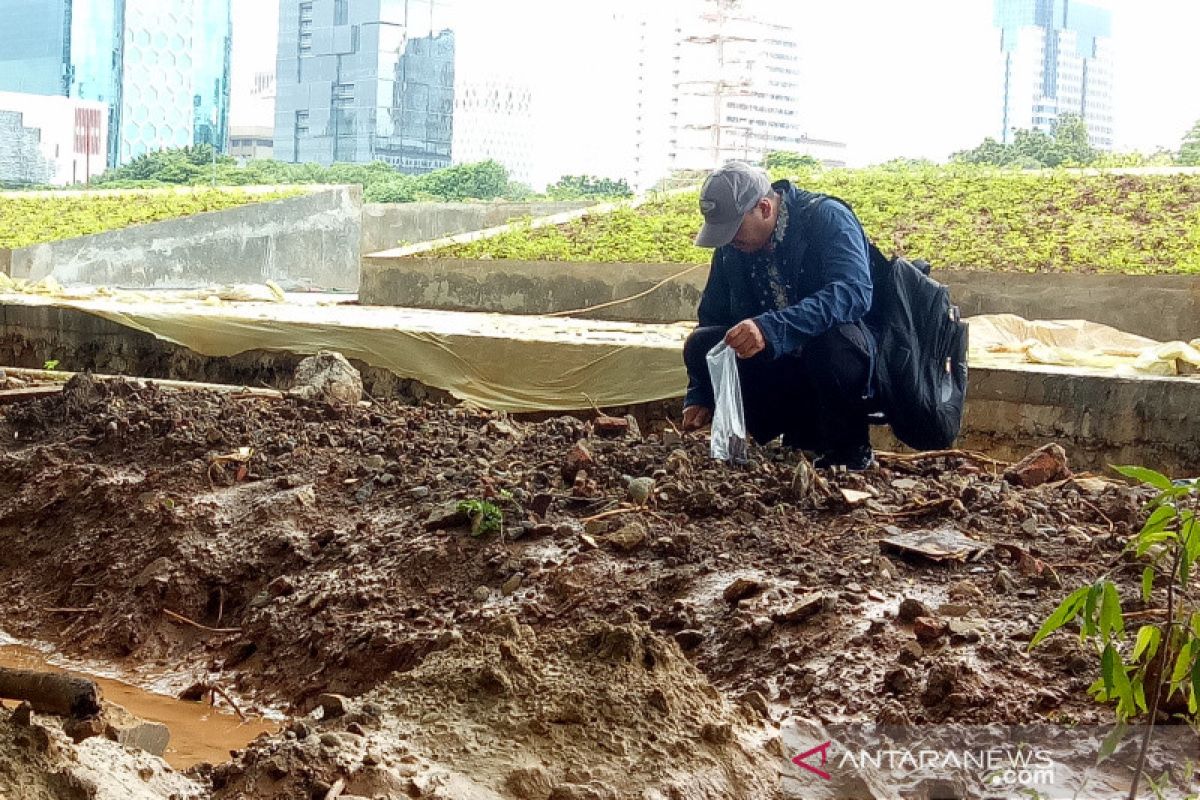 Komisi Pengarah ambil sampel pohon Revitalisasi Monas