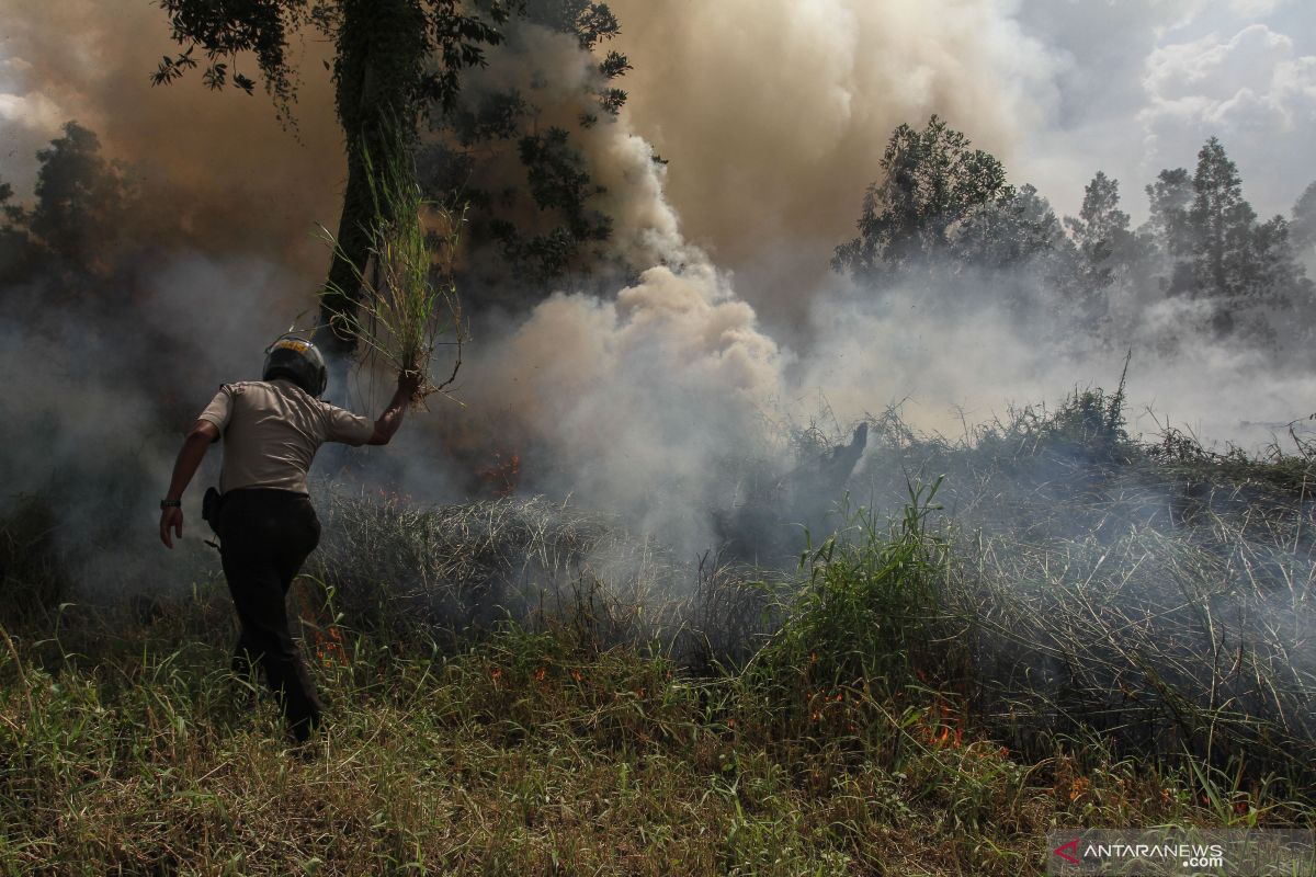 11 titik panas Karhutla masih "kepung" pesisir Riau