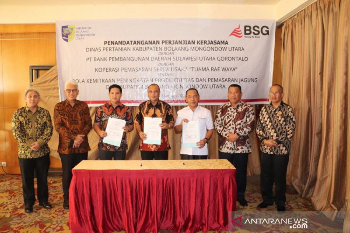 BSG Dorong Peningkatan Produktivitas dan Pemasaran Jagung Bolmut