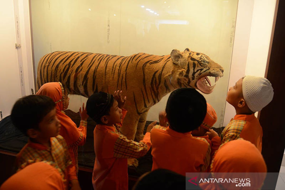 Edukasi mengenal satwa di museum Aceh