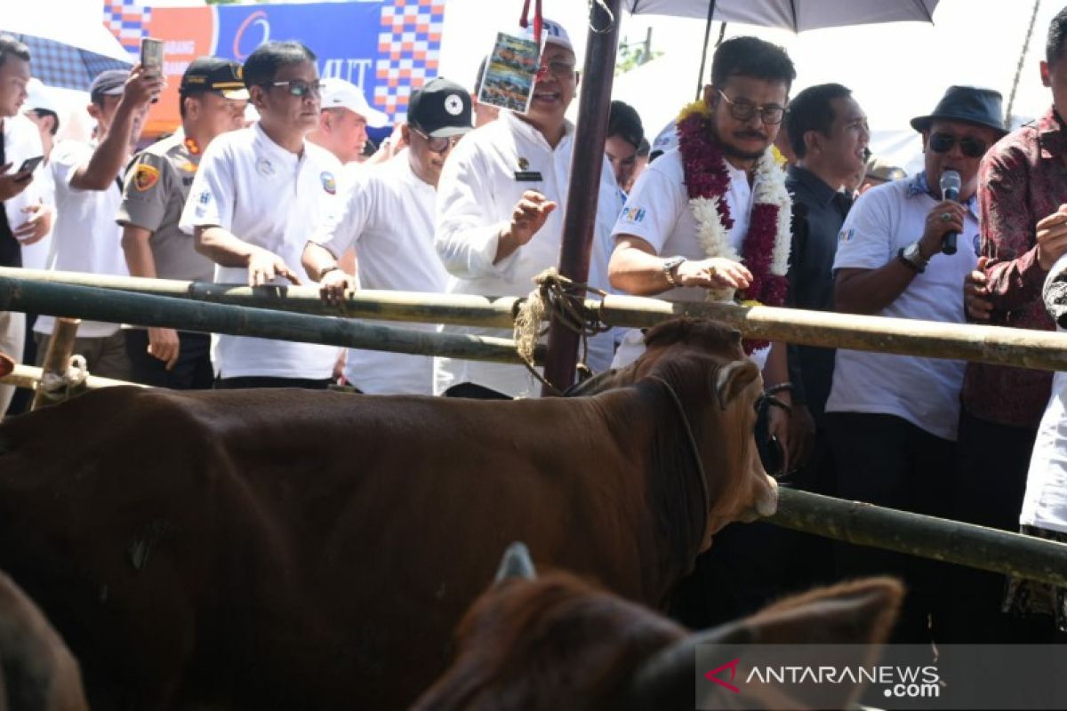 Sumut targetkan KUR untuk peternakan Rp183,7 miliar pada 2020