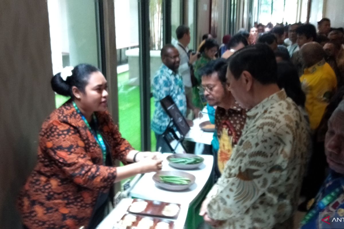 Government introduces Papua's business potential to 45 investors