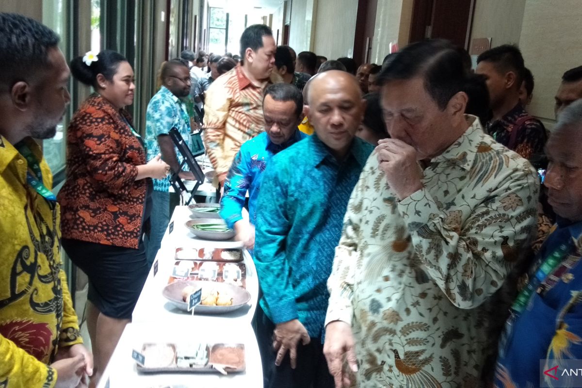 Minister encourages Papua to reduce investment in palm plantations