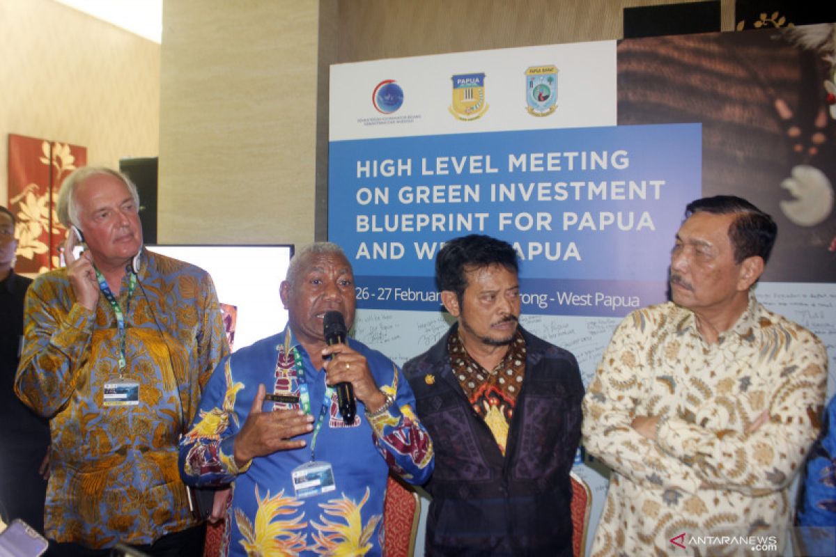 Pemerintah luncurkan konsep investasi hijau untuk Papua-Papua Barat