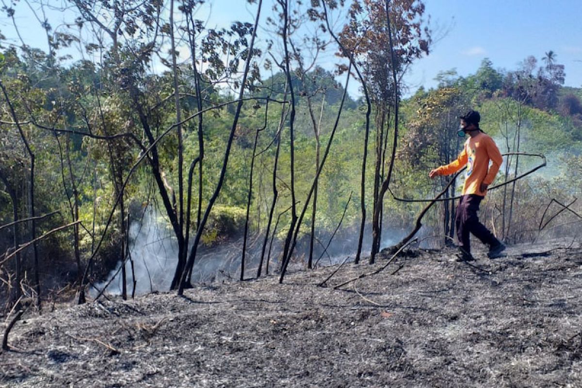 Kebakaran lahan kembali terjadi di Aceh Jaya