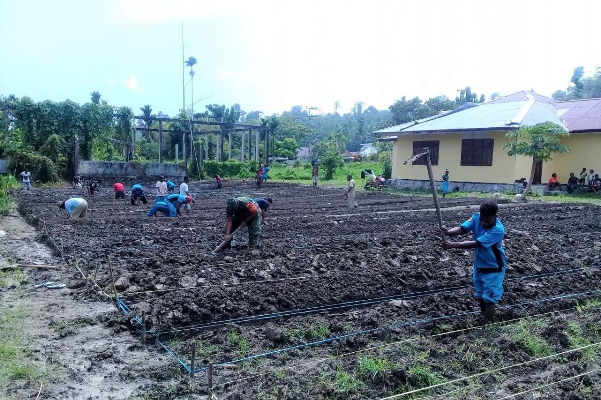 TNI dampingi siswa SMKN Pertanian Wapoga belajar bercocok tanam