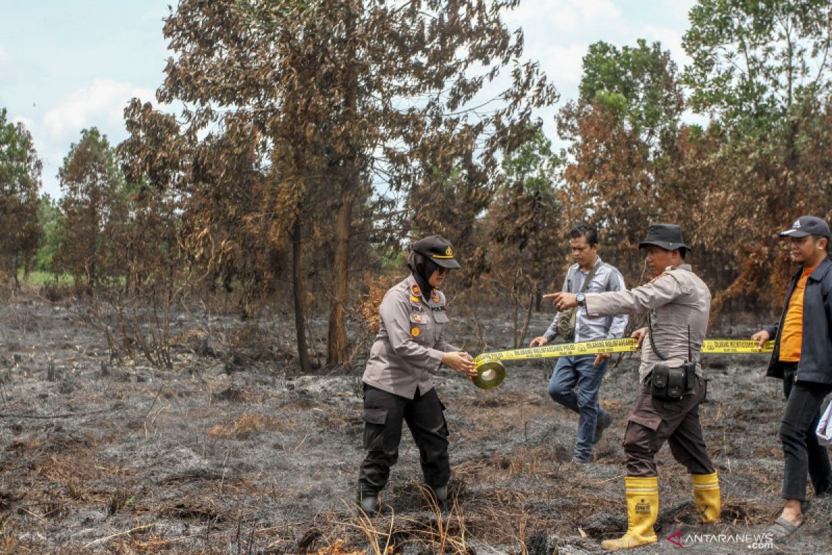 Jumlah tersangka karhutla Riau bertambah jadi 21 orang, begini penjelasannya